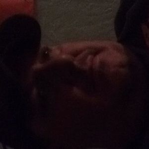 Meet your Posher, Todd